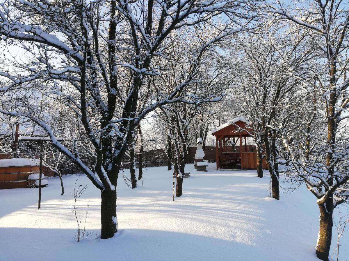 Villa Drevenica Silvia Liptovský Mikuláš Esterno foto
